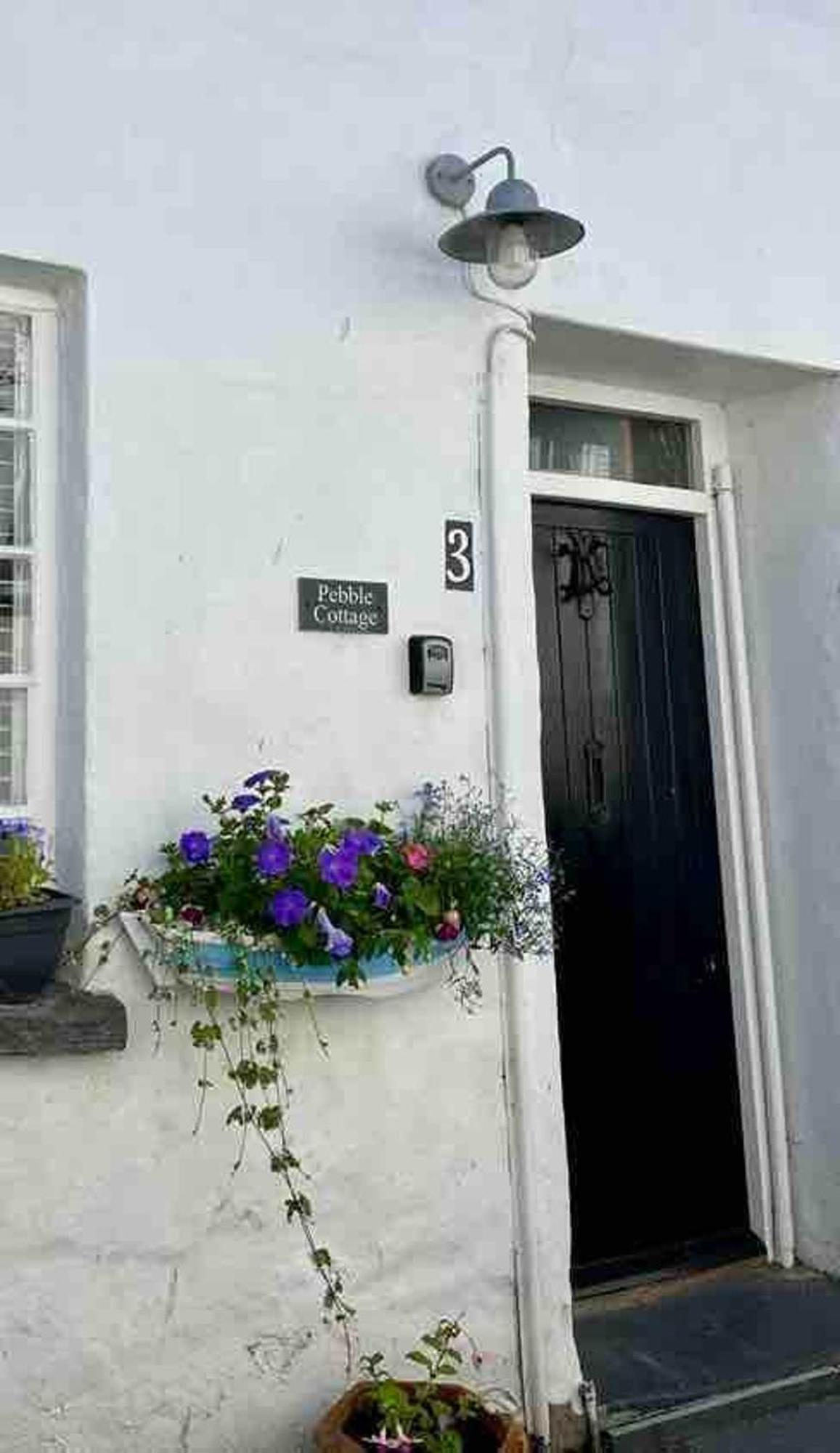 Pebble Cottage Aberdyfi Exterior foto